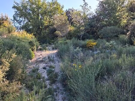 terrain constructible viabilisé à vendre