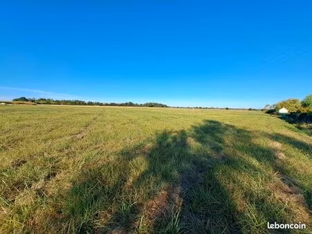 terrain 7 600 m² leigne les bois