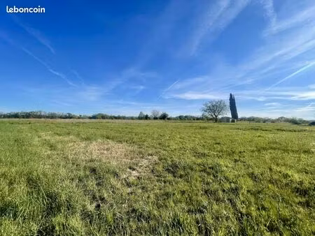 terrain 2 038 m² graulhet
