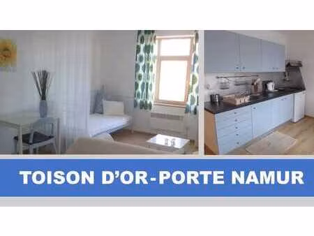 flat meublé (porte de namur - toison d'or) ixelles