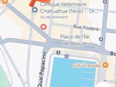 place parking port de nice