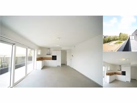 appartement à louer à rue charles wiliam preston 8 ans (vbe26028)