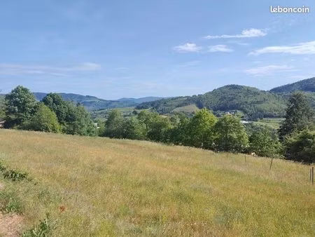 terrain constructible