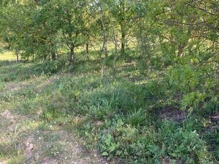 vend terrain de loisirs ou agricole
