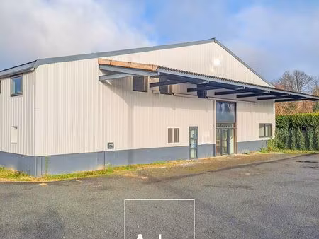 bureaux 75 m² saint sornin lavolps