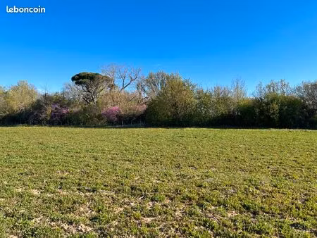 terrain 464 m² labastide d anjou