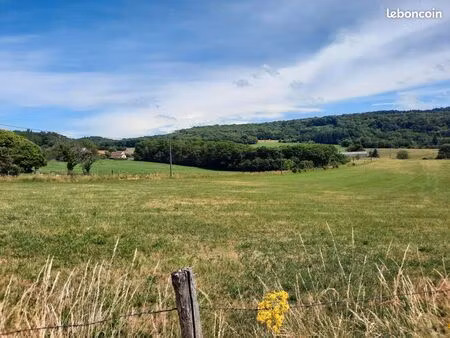 terrain