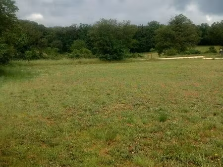 terrain constructible