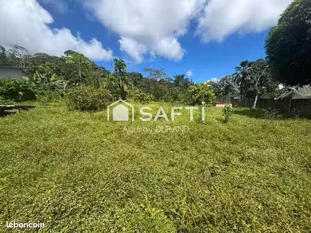 terrain 3644 m² matoury