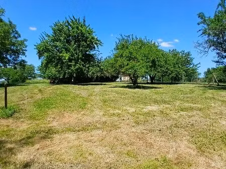 terrain à vendre avec 2 cu + hangar de 40m2