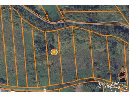 terrain 1 898 m² petit bourg