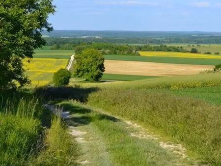 terrain agricole