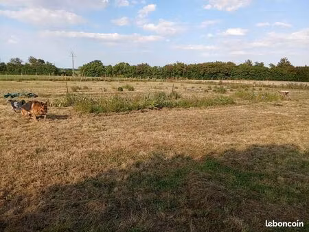 terrain agricole