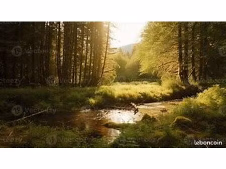 terrain  verger  parcelle de bois