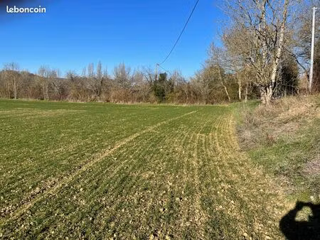 vente immobiliere terrain