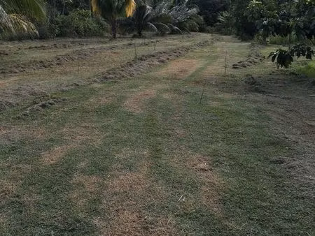 terrain de 5000m2