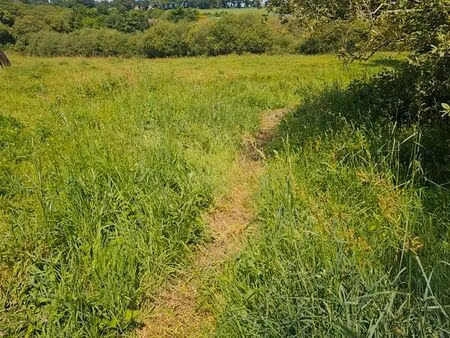 parcelle a louer pour l'été