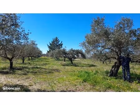 terrain agricole