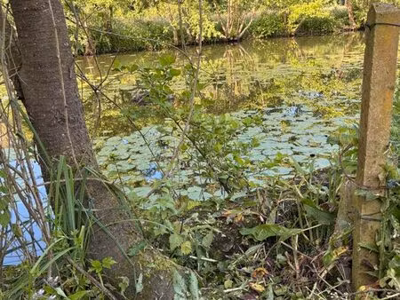 terrain de peche
