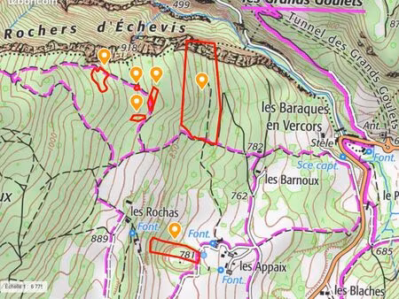 forêt la chapelle en vercors