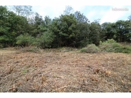 terrain 500 m² plantiers
