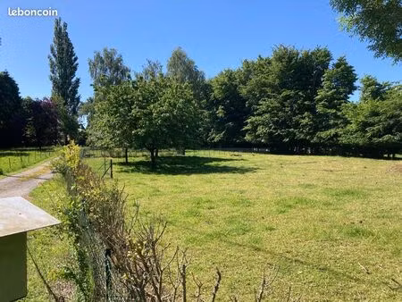 terrain constructible