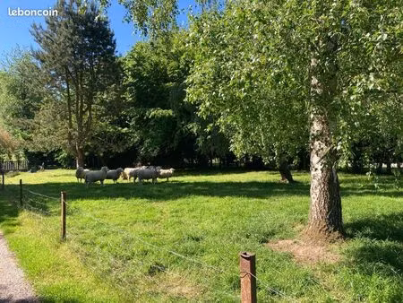 terrain constructible