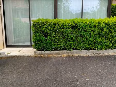 appartement barbotan les thermes