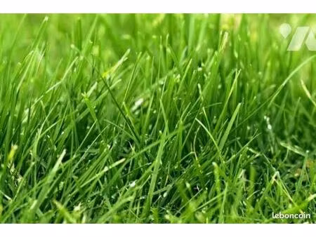 terrain 624 m² plenee jugon