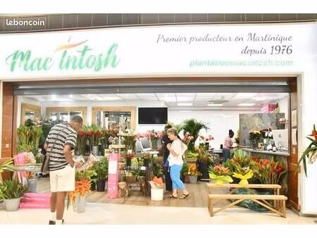 boutique de fleurs