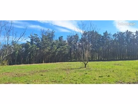 terrain constructible tout équipé