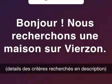 recherche maison vierzon