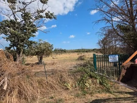terrain