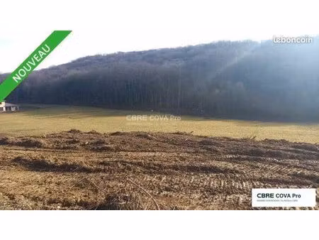 terrain 9 477 m² chatillon le duc