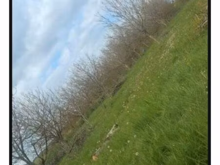 terrain agricole