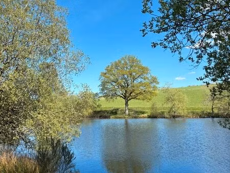 etang