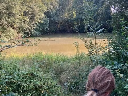 propriété naturelle de plus de 10 hectares laplane ouest – saint-léon-d’issigeac (dordogne