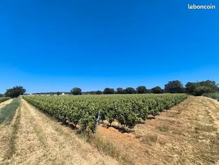 à vendre – exploitation viticole au cœur du sud de la france