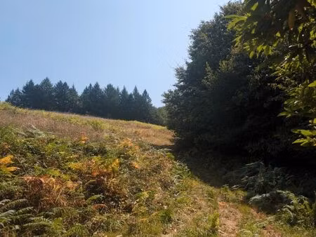 terrain 9ha prairie + forêt + ruisseau