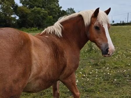 recherche terrain agricole champniers