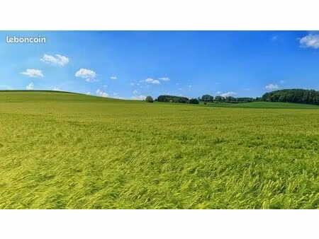 cherche terrain loisirs