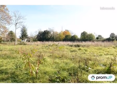 terrain 1 398 m² beguey