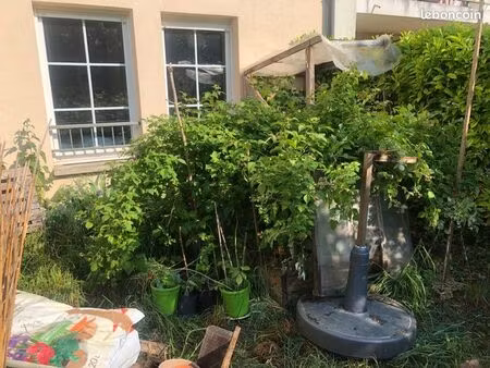 cherche maison 385 000 quartier wilson