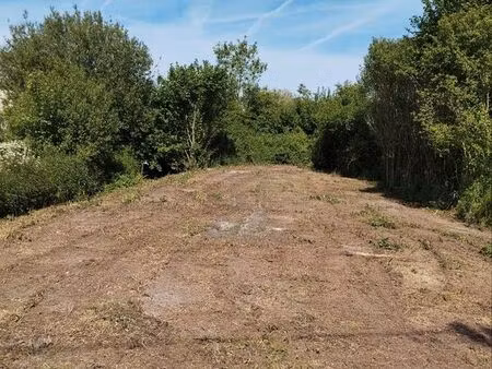 terrain - jardin