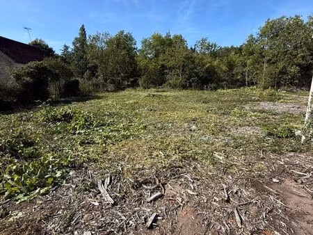 terrain constructible