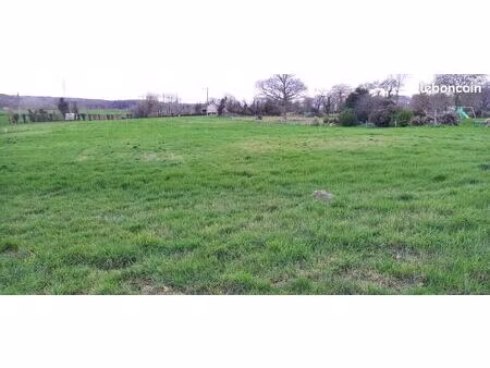 terrain constructible