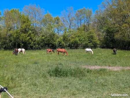 recherche terrain agricole 10 à 20 ha / élevage chèvres chevaux