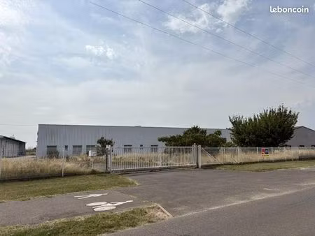 local d'activité 3 377 m²