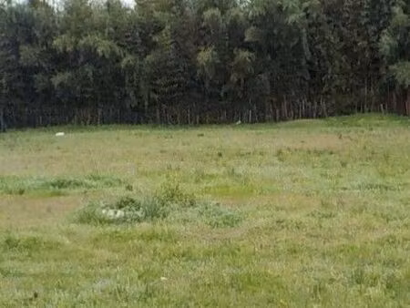 terrain 505 m² artigues pres bordeaux