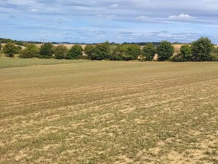 vente | terrain constructible | 634 m² | caraman | expo sud-ouest